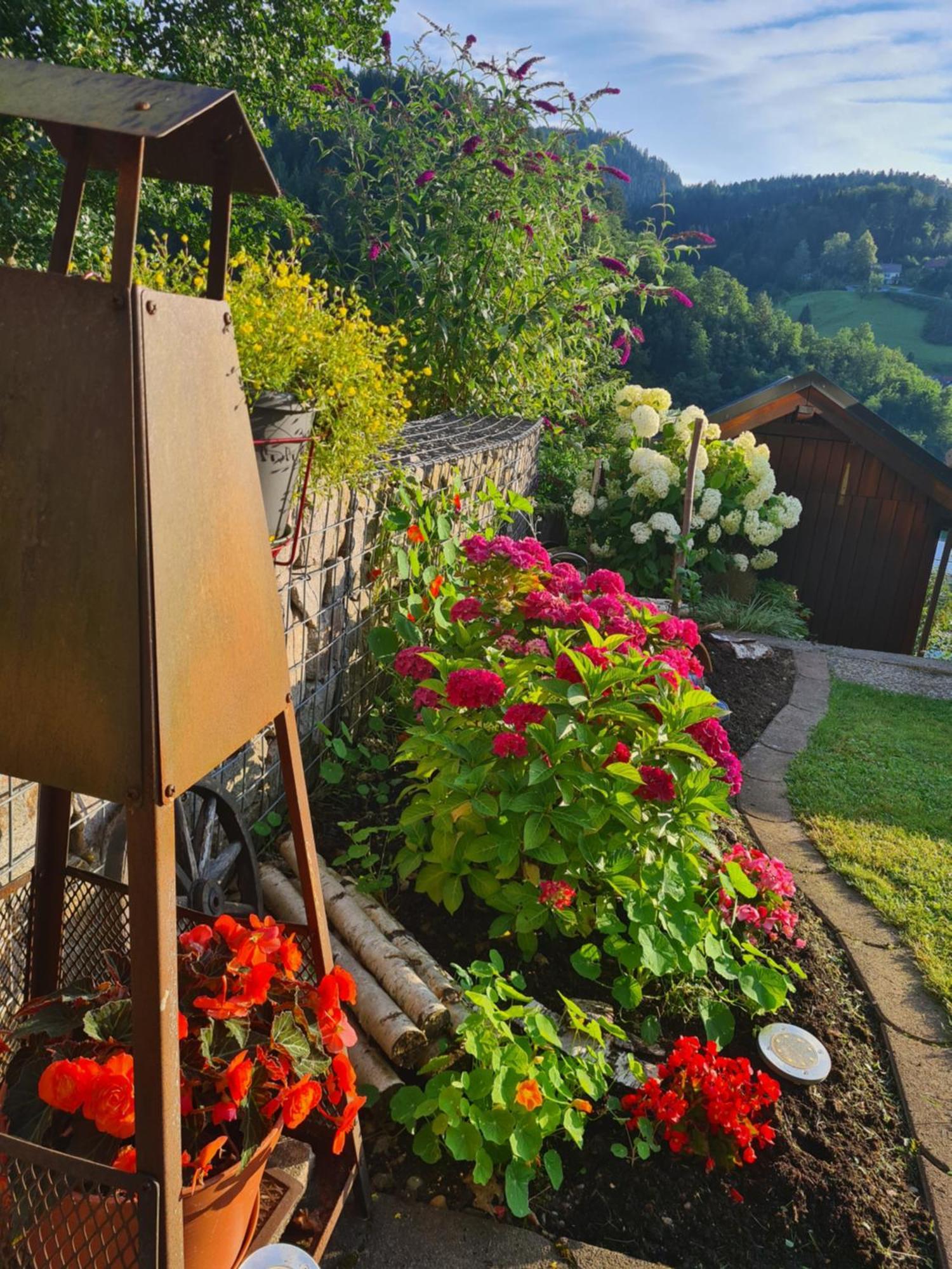 Ferienwohnung Schwarzwaldsteig Bad Peterstal-Griesbach Extérieur photo
