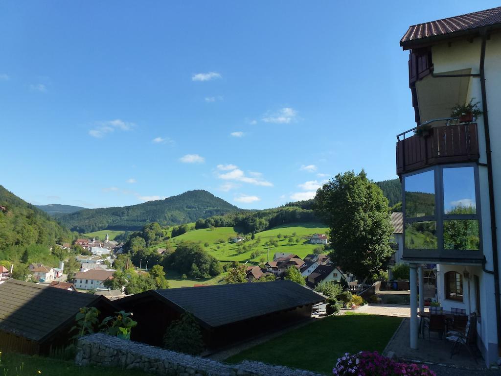 Ferienwohnung Schwarzwaldsteig Bad Peterstal-Griesbach Chambre photo