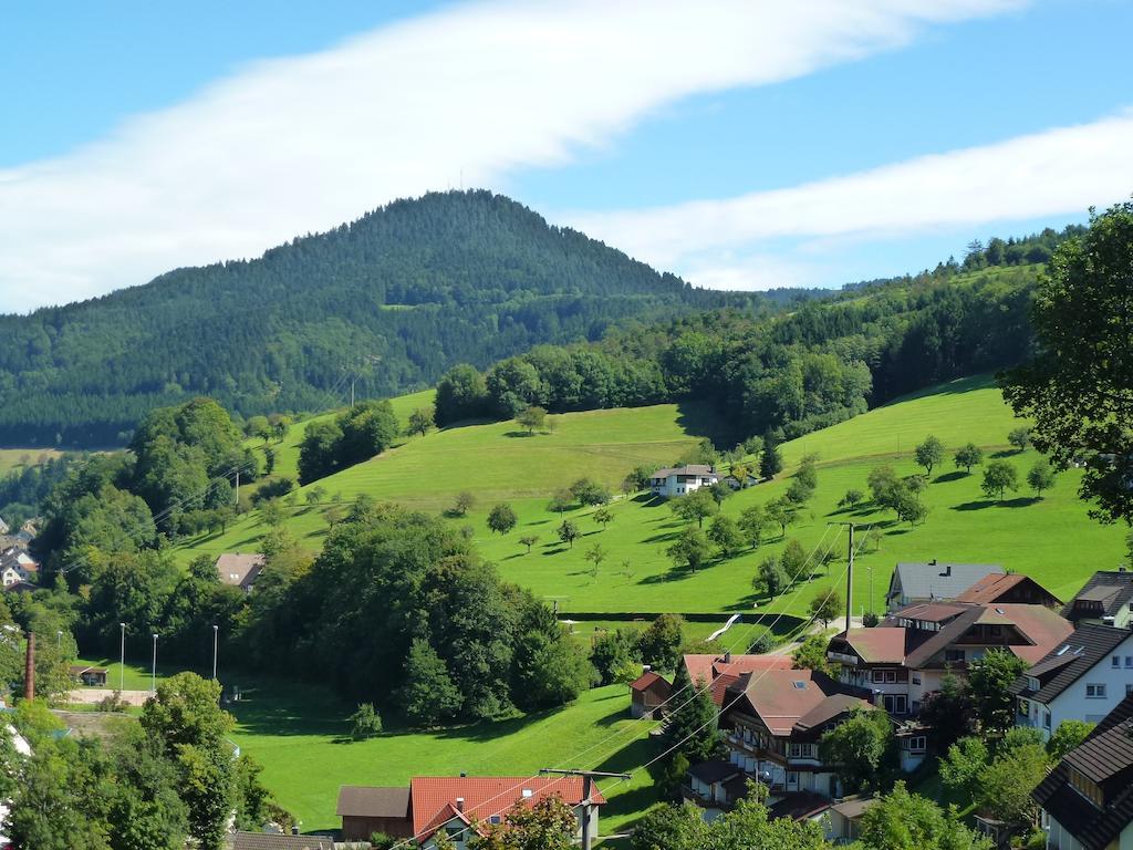 Ferienwohnung Schwarzwaldsteig Bad Peterstal-Griesbach Extérieur photo