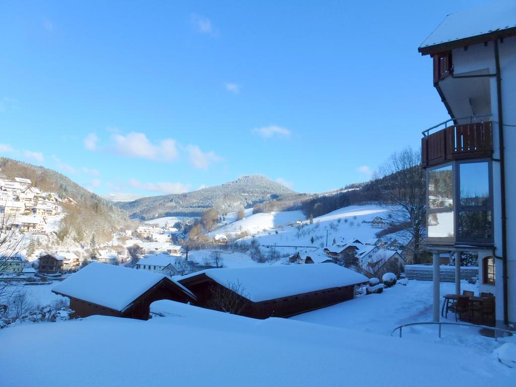Ferienwohnung Schwarzwaldsteig Bad Peterstal-Griesbach Extérieur photo